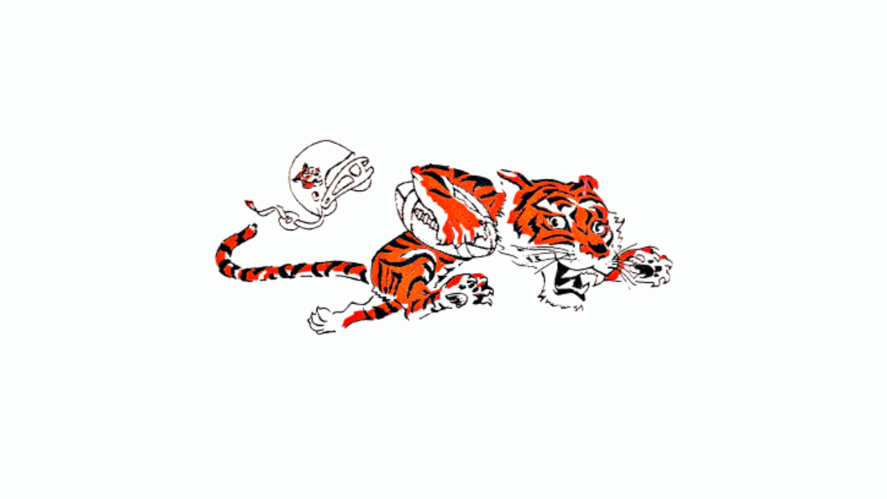 Cincinnati Bengals: 2025 NFL Draft Class
