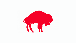 Buffalo Bills: 2025 NFL Draft Class